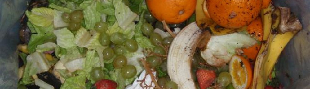 Guelph Food Waste Research Project